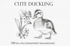 Cute Duckling, Narcissus Flower and Ladybug PNG, 300 DPI Product Image 1