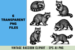 Vintage Raccoon Clipart Product Image 1