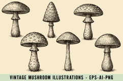 Vintage Mushroom Illustrations Product Image 1