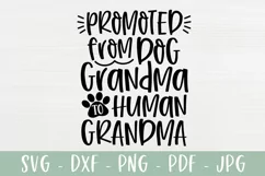 Promoted From Dog Grandma To Human Grandma SVG Product Image 2