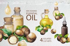 Watercolor Macadamia collection Product Image 3