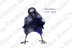 Watercolor Cute Funny Crows Ravens Clip Art Set Product Image 2