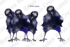 Watercolor Cute Funny Crows Ravens Clip Art Set Product Image 1