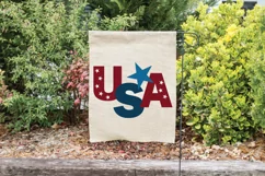 USA SVG Cut File - Patriotic SVG DXF EPS PNG Product Image 5