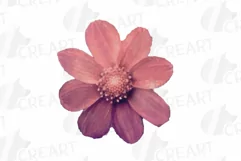 Watercolor bridal flowers on summer berry colors clip art Product Image 9