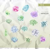 Watercolour Succulent clipart, wedding clip art, flower Product Image 2