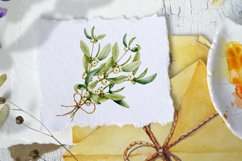 White mistletoe, snow berry, watercolor clipart PNG Product Image 6