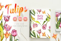 Tulips for Love Watercolor png Product Image 1
