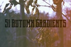 51 Autumn Gradients Product Image 1