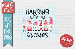 Hanging With My Gnomies Sublimation | Boys Valentine T-shirt Product Image 1