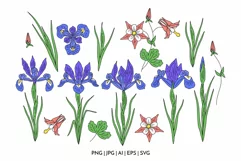 Irises and Columbine - spring flowers clipart and patterns Product Image 3