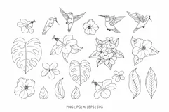 Hummingbirds and Tropical Flowers SVG Clipart & Patterns Product Image 4