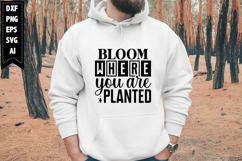 Bloom Where You Are Planted Svg, Motivation Svg Designs Product Image 1