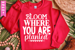 Bloom Where You Are Planted Svg, Motivation Svg Designs Product Image 1