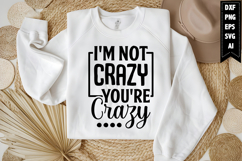 I&#039;m Not Crazy You&#039;re Crazy Svg, Funny Sarcastic Svg Product Image 1