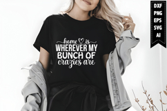 Home is Wherever My Bunch of Crazies Are Svg, Family Svg Product Image 1