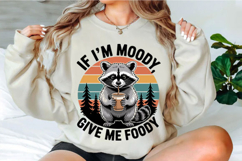Funny Sarcastic Png Bundle, Sarcasm Sublimation Designs Product Image 5