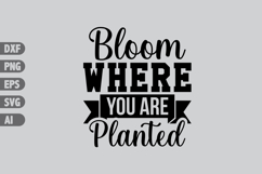 Bloom Where You Are Planted Svg, Inspiration Svg Designs Product Image 1