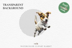 Jack Russell Terrier Cute Puppy Baby Dog Animals Clipart PNG Watercolor  Transparent Print for invitation t-shirt designs sublimation kids printable digital watercolor Baby dog png, watercolor  Jack Russell Terrier puppy clipart, sublimation nursery drawi