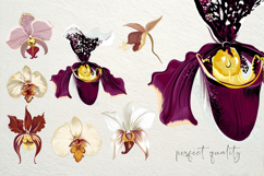 Hand drawn vector orchids Product Image 2