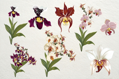 Hand drawn vector orchids Product Image 3