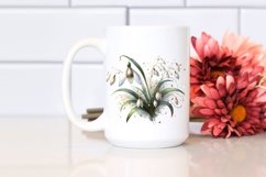 Detailed Snowdrop Product Image 2