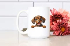 Funny Small Baby Dachshund | Sublimation | Clipart Product Image 2