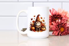 Vibrant Autumn Gnome Product Image 2