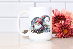 Vibrant Winter Gnome Product Image 2