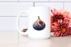 Colorful Fig | Sublimation Clipart Product Image 2