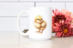 Cute Baby Chicken, Transparent PNG Product Image 2