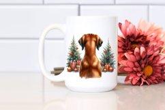 Cute Rhodesian Ridgeback with Christmass Decorations PNG Product Image 2