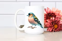 Simple Finch Watercolor Clipart Product Image 2