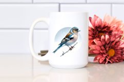 Simple Finch Watercolor Clipart Product Image 2
