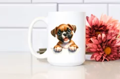 Funny Baby Boxer Watercolor Clipart Product Image 2