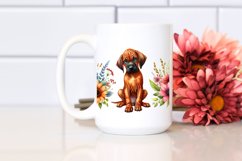 Sublimation|Clipart Product Image 2