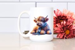 Colorful Baby Highland Cow with Studio PNG Product Image 2