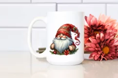 Detailed Vibrant Winter Gnome PNG Product Image 2