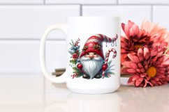 Detailed Christmas Gnome PNG Product Image 2