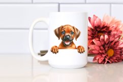 Crazy Looking Baby Rhodesian Ridgeback Clipart Product Image 2