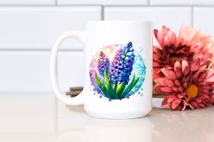 Shiny Stained Hyacinth | Clipart Product Image 2