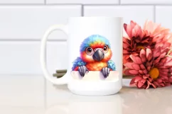 Colorful Baby Macaw Looking Over Paper | Clipart Product Image 2