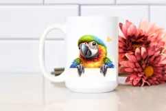 Colorful Baby Macaw Looking Over Paper | Clipart Product Image 2