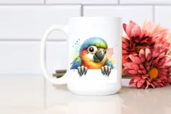 Colorful Baby Macaw Looking Over Paper | Clipart Product Image 2