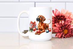 Elegant Rhodesian Ridgeback with Christmas Decor, High-Res Product Image 2