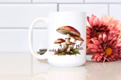Detailed Mushroom Product Image 2