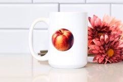 Nectarine Watercolor Sublimation Clipart Product Image 2