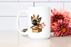 Baby Malinois Gift Box Surprise, Transparent PNG Product Image 2