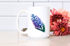 Shiny Hyacinth | Sublimation | Clipart Product Image 2
