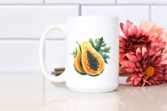 Watercolor Papaya | Sublimation | Clipart Product Image 2